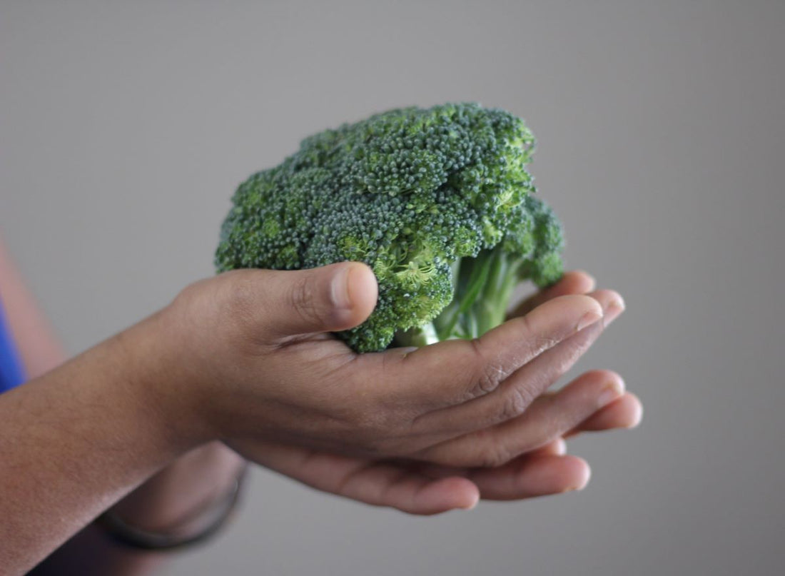 Brokkoli & Co: Wie Ernährung zur Gesundheit beitragen kann